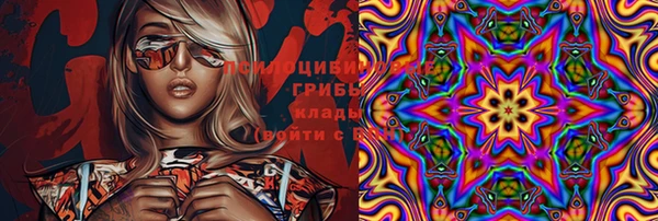 крисы Алексин