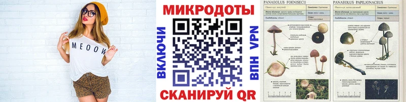закладки  Александровское  гидра ТОР  Псилоцибиновые грибы мухоморы 